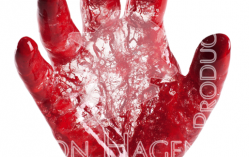 Blood Vessel Configurations